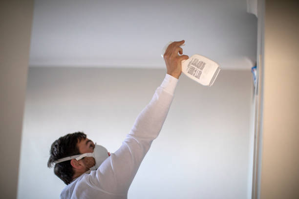 Best Post-Flood Mold Remediation in Bloomfield, IN