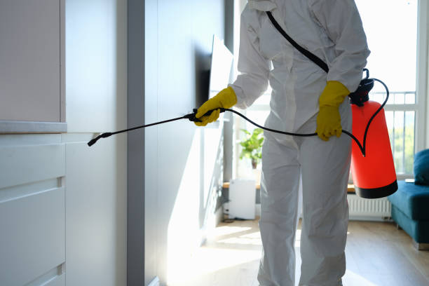 Best Residential Mold Remediation in Bloomfield, IN