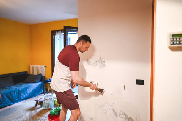 Best Basement Mold Remediation in Bloomfield, IN